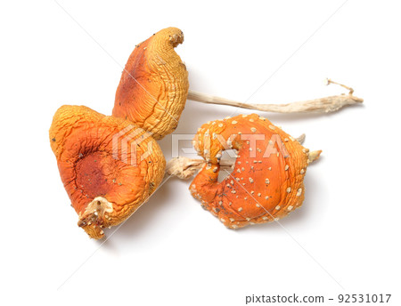 Dried Amanita muscaria, commonly known as the fly agaric or fly amanita. Isolated on white background Dried Amanita muscaria, commonly known as the fly agaric or fly amanita. Isolated on white background 92531017