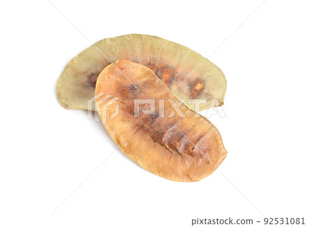Seed Senna or sennas. Isolated on white background. Seed Senna or sennas. Isolated on white background. 92531081