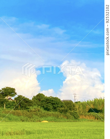 Blue sky and rice field Blue sky and rice field 92532102