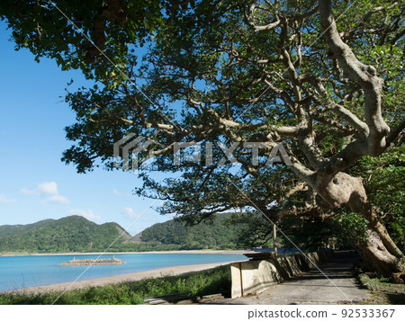 各種生硬的Deigo Namiki 各種生硬的Deigo Namiki 92533367