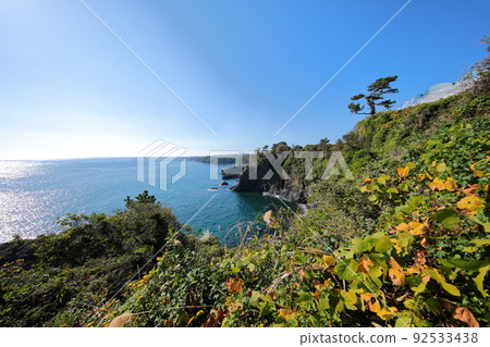 fangfish, coast, beach, Jeju, Seogwipo, coast, cliff, cliff, lava, rock, sea, pine, 92533438