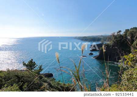 fangfish, coast, beach, Jeju, Seogwipo, coast, cliff, cliff, lava, rock, sea, pine, 92533441