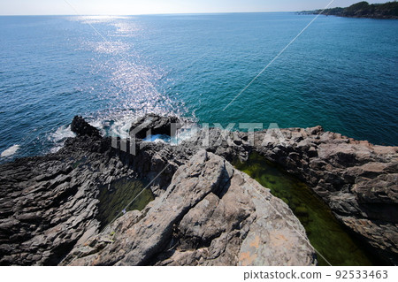 fangfish, coast, beach, Jeju, Seogwipo, coast, cliff, cliff, lava, rock, sea, pine, 92533463