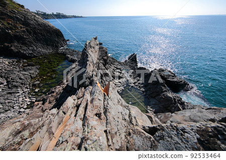 fangfish, coast, beach, Jeju, Seogwipo, coast, cliff, cliff, lava, rock, sea, pine, fangfish, coast, beach, Jeju, Seogwipo, coast, cliff, cliff, lava, rock, sea, pine, 92533464