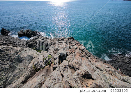 fangfish, coast, beach, Jeju, Seogwipo, coast, cliff, cliff, lava, rock, sea, pine, 92533505