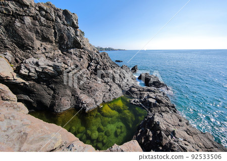 fangfish, coast, beach, Jeju, Seogwipo, coast, cliff, cliff, lava, rock, sea, pine, 92533506