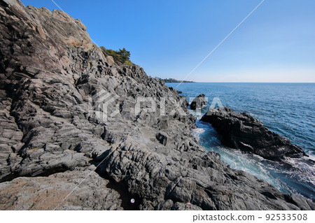 fangfish, coast, beach, Jeju, Seogwipo, coast, cliff, cliff, lava, rock, sea, pine, 92533508