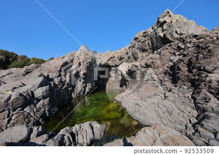 fangfish, coast, beach, Jeju, Seogwipo, coast, cliff, cliff, lava, rock, sea, pine, 92533509