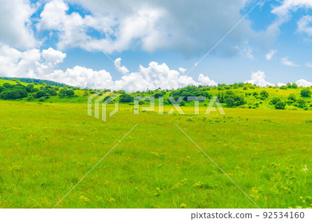 Raised bog in the sky, Yashimagahara marsh in summer [Nagano Prefecture] 92534160