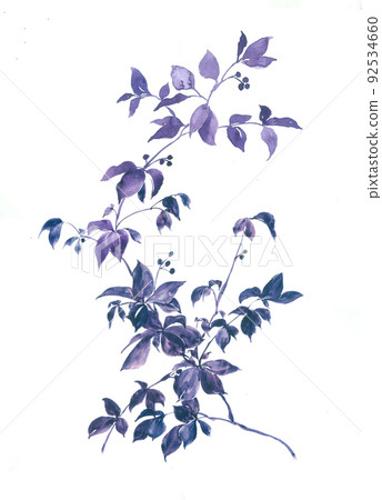 Beautiful watercolor rose and peony flower Beautiful watercolor rose and peony flower 92534660