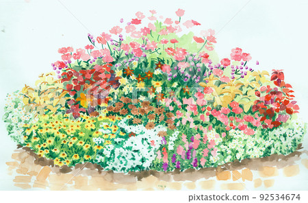 美麗的水彩玫瑰花和牡丹花 92534674