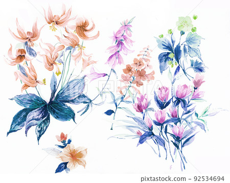 美麗的水彩玫瑰花和牡丹花 美麗的水彩玫瑰花和牡丹花 92534694