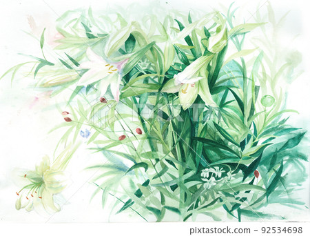 Beautiful watercolor rose and peony flower 92534698