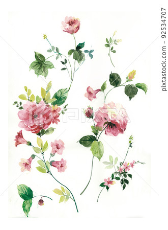 Beautiful watercolor rose and peony flower 92534707