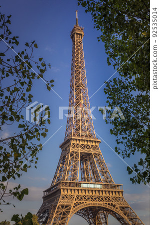 Eiffel tower view from trocadero framed by trees, Paris, France 92535014