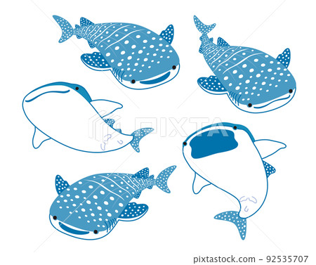 鯨鯊的插圖 鯨鯊的插圖 92535707