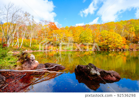 Autumn leaves of Sennin Pond (Sasagamine Plateau) Autumn leaves of Sennin Pond (Sasagamine Plateau) 92536298
