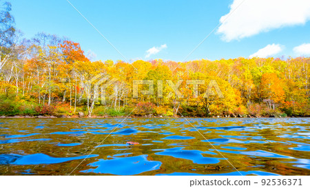 千人池(笹嶺高原)的紅葉 千人池(笹嶺高原)的紅葉 92536371