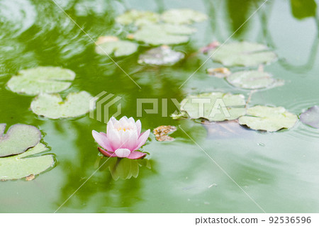 意大利佛羅倫薩Snap出國留學 意大利佛羅倫薩Snap出國留學 92536596