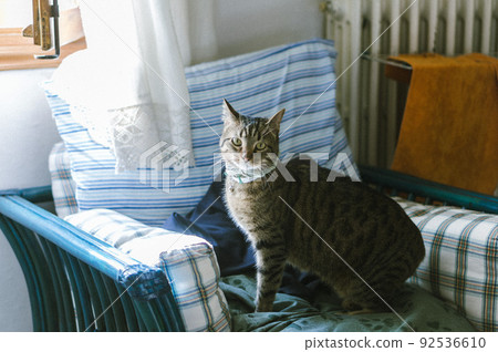 意大利佛羅倫薩Snap出國留學 意大利佛羅倫薩Snap出國留學 92536610