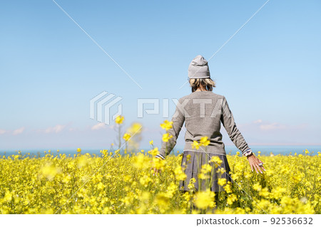rear view of an asian tourist taking a walk in canola flower field 92536632