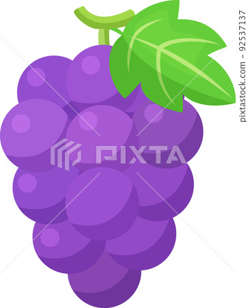 簡單可愛的葡萄插畫 92537137