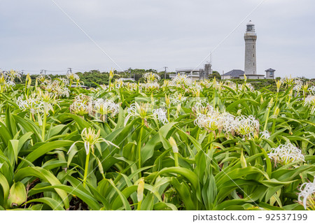 夢淺灘公園--濱湯--濱本 夢淺灘公園--濱湯--濱本 92537199