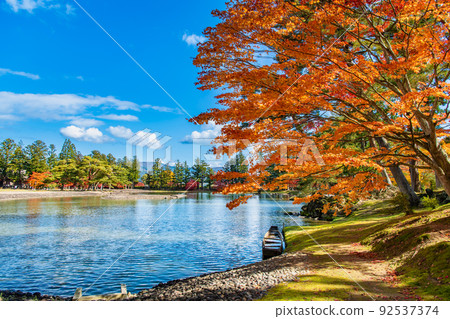 岩手縣平泉町秋色的毛越寺～大泉池～ 92537374