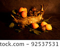 Image Decoration from fresh apricots and plums. Still life, Nature Morte in dramatically dark setting and background. 92537531