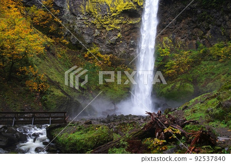 Moss and waterfall landscape 92537840