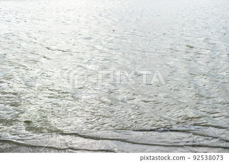 灰色的大海,波浪,柔和的光線和流動的樹枝 灰色的大海,波浪,柔和的光線和流動的樹枝 92538073