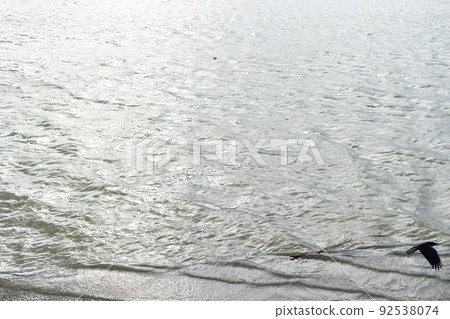 灰色的大海,波浪,柔和的光線,流動的樹枝和鳥兒 灰色的大海,波浪,柔和的光線,流動的樹枝和鳥兒 92538074