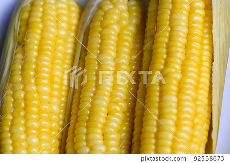ripe corn cobs steamed or boiled sweetcorn for food vegan dinner or snack, cooked sweet corn background ripe corn cobs steamed or boiled sweetcorn for food vegan dinner or snack, cooked sweet corn background 92538673