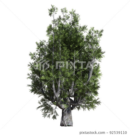 Fantasy tree 3d illustration isolated on white background Fantasy tree 3d illustration isolated on white background 92539110