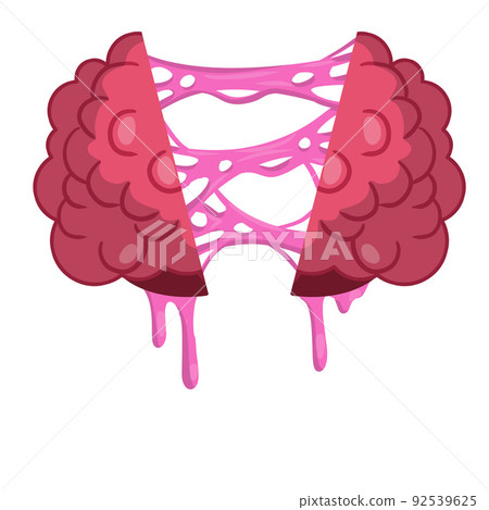 Human brain. Cut organ with pink slime. Human brain. Cut organ with pink slime. 92539625