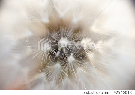 The cotton hat I saw early in the morning The cotton hat I saw early in the morning 92540018