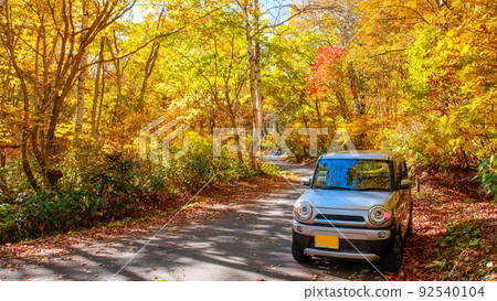 秋季駕駛 92540104