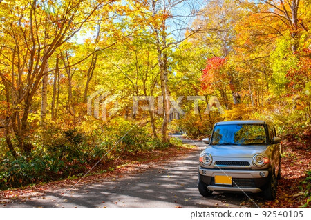 Fall Drive 92540105