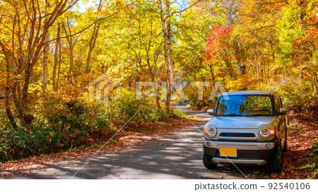 秋季駕駛 秋季駕駛 92540106