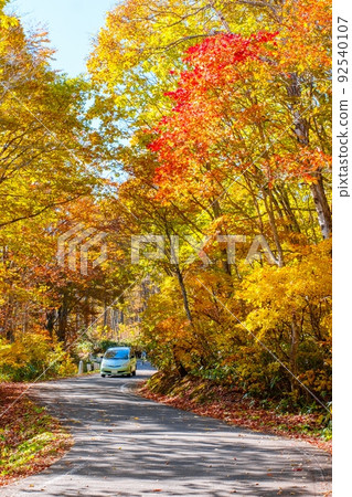 Fall Drive 92540107