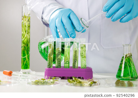 research scientist team working  research and Biotech science Photobioreactor in laboratory of algae fuel, biofuel sustainable biochemical 92540296