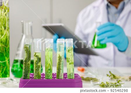 biotechnology Doctor using tablet and check with biofuel industry project, Algae research in industrial laboratories for medicine Medical science and biotechnology. biotechnology Doctor using tablet and check with biofuel industry project, Algae research in industrial laboratories for medicine Medical science and biotechnology. 92540298