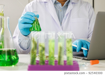 biotechnology Doctor using tablet and check with biofuel industry project, Algae research in industrial laboratories for medicine Medical science and biotechnology. biotechnology Doctor using tablet and check with biofuel industry project, Algae research in industrial laboratories for medicine Medical science and biotechnology. 92540300