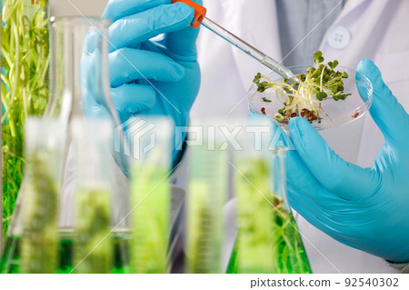 research scientist team working  research and Biotech science Photobioreactor in laboratory of algae fuel, biofuel sustainable biochemical 92540302