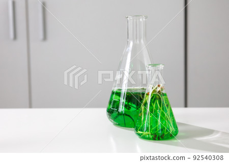 research and Biotech science Scientists are developing research on algae. Bio-energy, biofuel, energy research 92540308