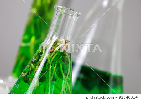 research and Biotech science Scientists are developing research on algae. Bio-energy, biofuel, energy research 92540314