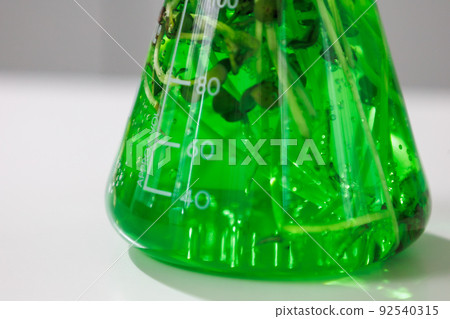 research and Biotech science Scientists are developing research on algae. Bio-energy, biofuel, energy research 92540315