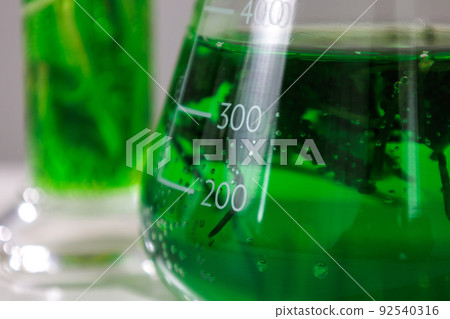 research and Biotech science Scientists are developing research on algae. Bio-energy, biofuel, energy research 92540316