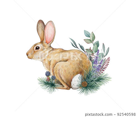 Rabbit winter floral decor. Watercolor illustration. Hand drawn cute bunny with pine branches, eucalyptus, lavender flowers. Wintertime vintage style rustic decoration with rabbit 92540598