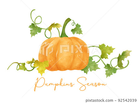 watercolor orange pumpkin with leaf and vine hand drawn painting illustration vector banner 92542039